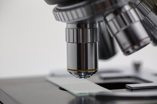 A microscope close-up on a slide